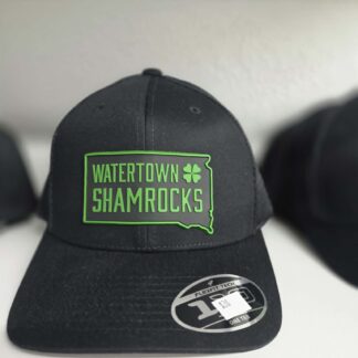Shamrocks Black State Patch Hat